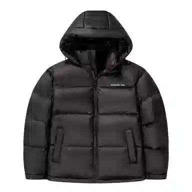 鸭鸭 时尚机能风工装宽松保暖百搭御寒防风连帽羽绒服 男女同款