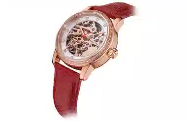 Sea-Gull 319.15.6120KL