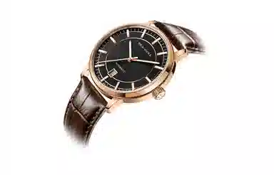 Sea-Gull 519.22.6008