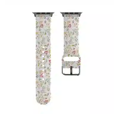 Akkerds Apple watch