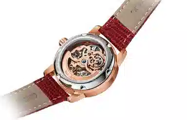 Sea-Gull 319.15.6120KL