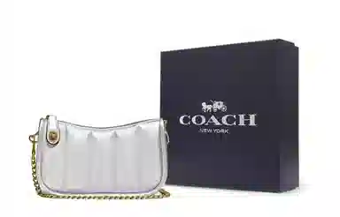 COACH Swinger 20