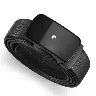 PIERRE CARDIN logo 3.6CM