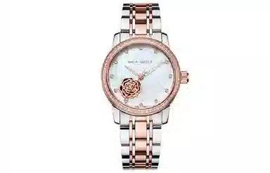 Sea-Gull 317.15.6121KL