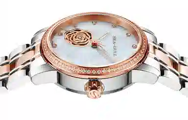 Sea-Gull 317.15.6121KL