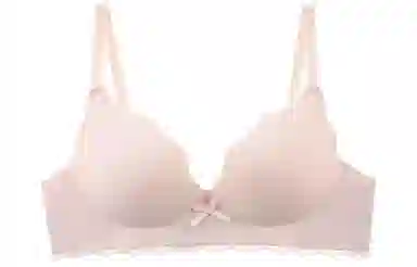 莫代尔 大胸显小防下垂上托文胸 女款