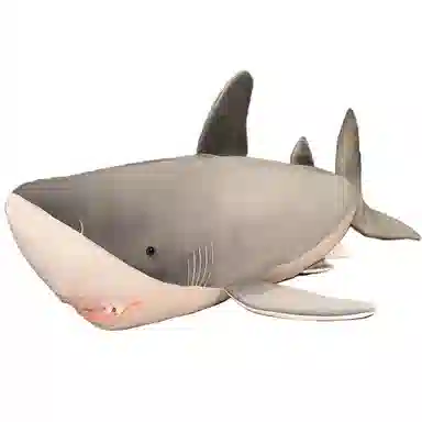 Tak bebe 60cm90cm110cm130cm160cm