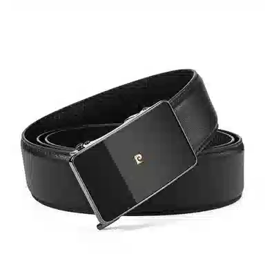 PIERRE CARDIN logo 3.6CM