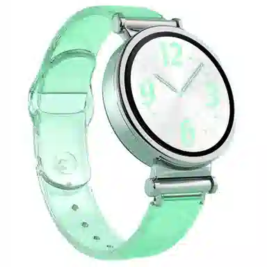 gt4gt3GT2watch43proPVC