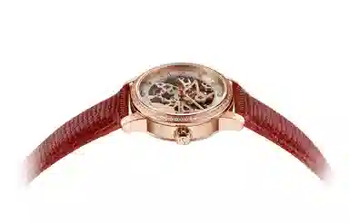 Sea-Gull 319.15.6120KL