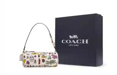 COACH Nolita 19