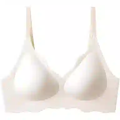 二三二三 小胸聚拢上托显大防下垂无钢圈文胸 女款