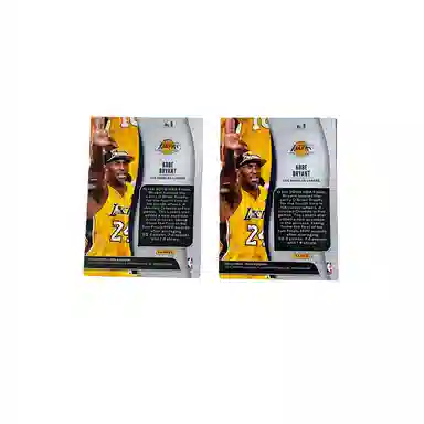 PANINI 19-20 Prizm 2