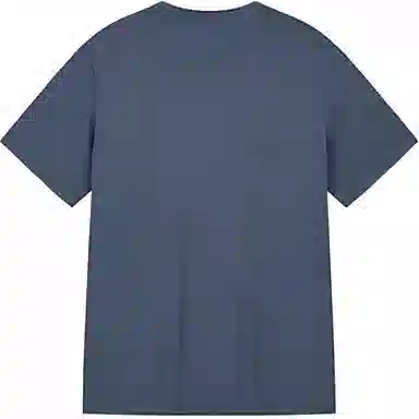 361 T
