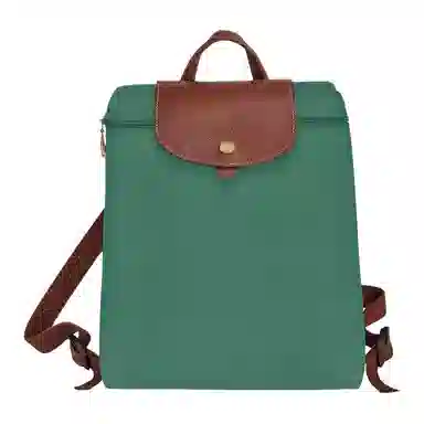 Longchamp Le Pliage Sage Green