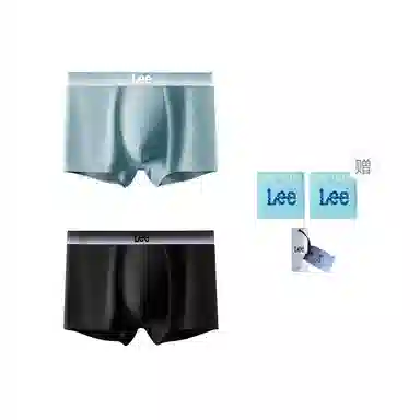 Lee 2