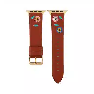 Akkerds Apple watch