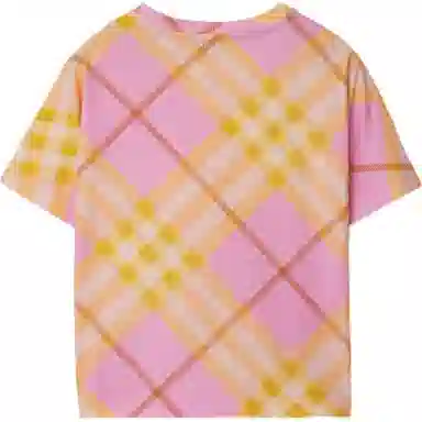 Burberry SS24 T