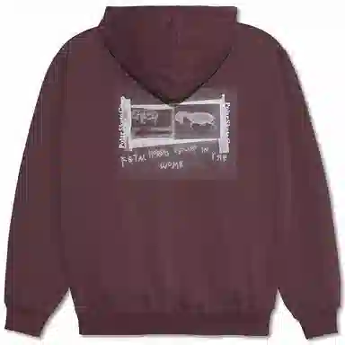 Polar Skate Co Hoodie