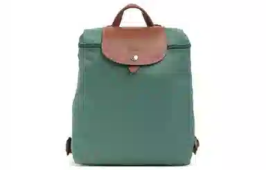 Longchamp Le Pliage Sage Green