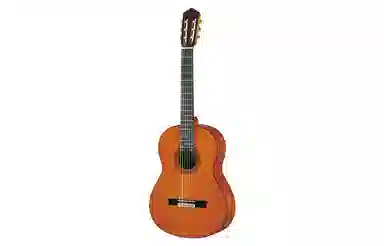 YAMAHAGC12CGC22CGC32C39