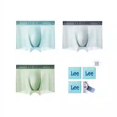 Lee 3
