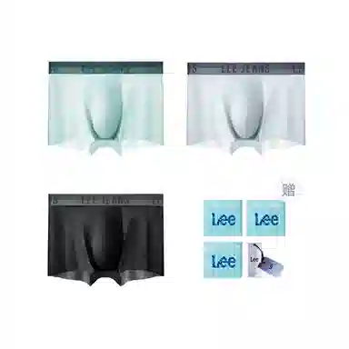 Lee 3
