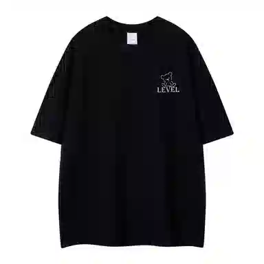LEVEL T