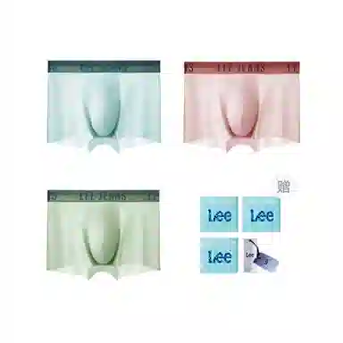 Lee 3