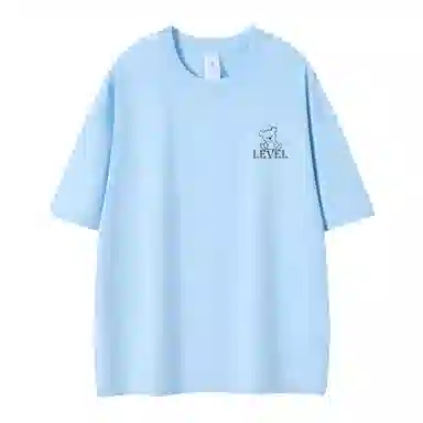 LEVEL T