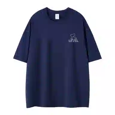 LEVEL T