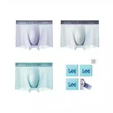 Lee 3