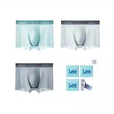 Lee 3