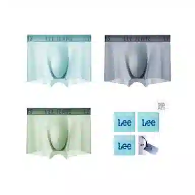 Lee 3