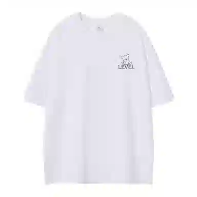 LEVEL T
