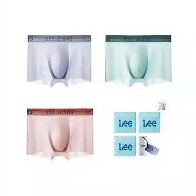 Lee 3