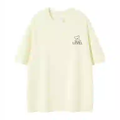 LEVEL T