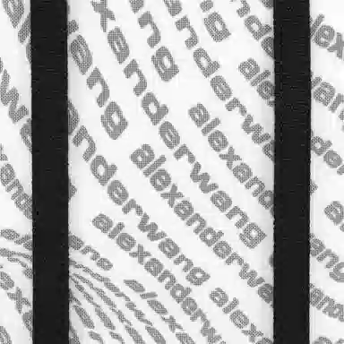 alexander wang Freeze Tote