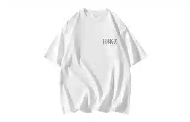 HIKZ T