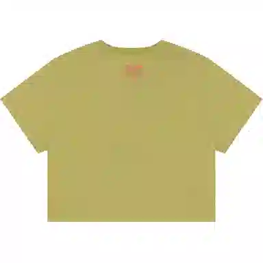 Aape T