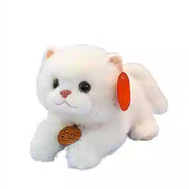 25cm33cm