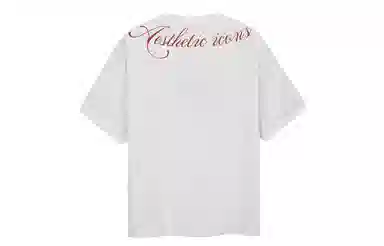 ICONS Lab T