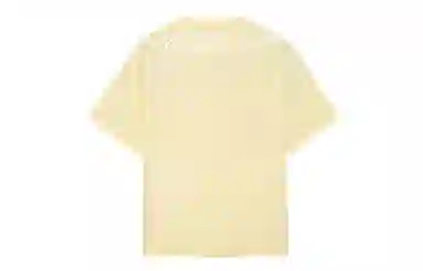 ICONS Lab T