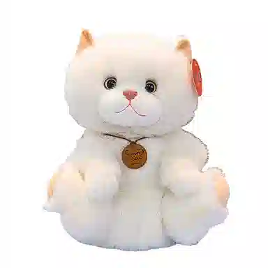 25cm33cm