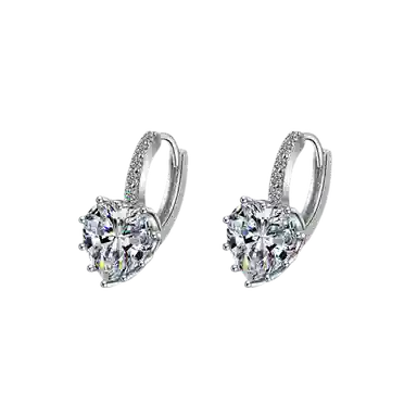 DAISY BEAUTY S925 Silver Earrings
