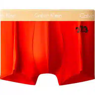 CKCalvin Klein Logo 1