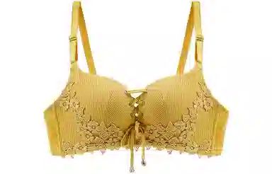 浪莎 纯色聚拢蕾丝美背文胸