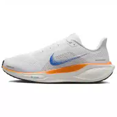 Nike Pegasus 41 Blueprint