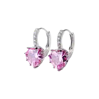 DAISY BEAUTY S925 Silver Earrings