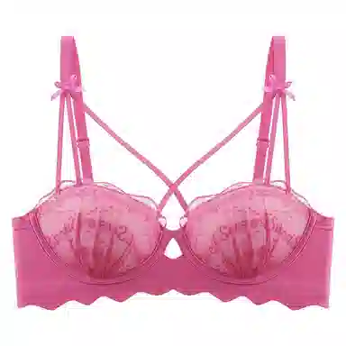 二三二三 蕾丝小胸聚拢半杯显大防下垂收副乳文胸 女款